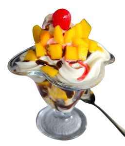  COPA DE MANGUITO